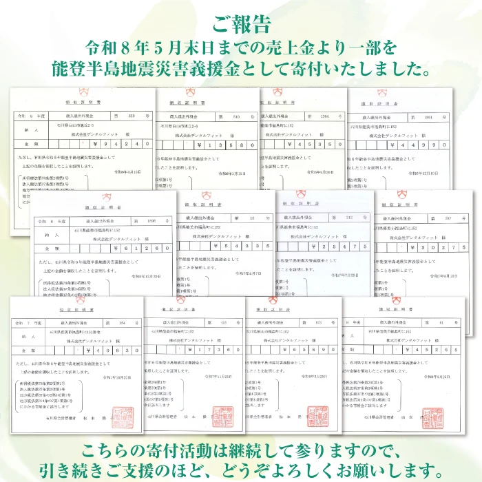 歯科専用歯ブラシ Gupita グピタ (毛のかたさ：Mふつう) 10本セット ／ 理想の歯ブラシ 全5色 個包装 ／ 復興支援商品【メール便送料無料】