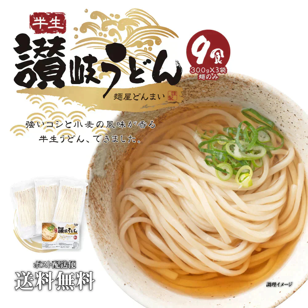 送料無料 半生うどん 9食 （300g×3）麺のみ 讃岐うどん ご当地グルメ 食品 産直 おすすめ  食品 お取寄せ 香川