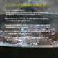 宮崎有田牛(EMO牛)手ごね生ハンバーグ150g×5個セット