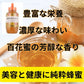 純粋はちみつ 100％天然蜂蜜 2kg（1kg×2本）