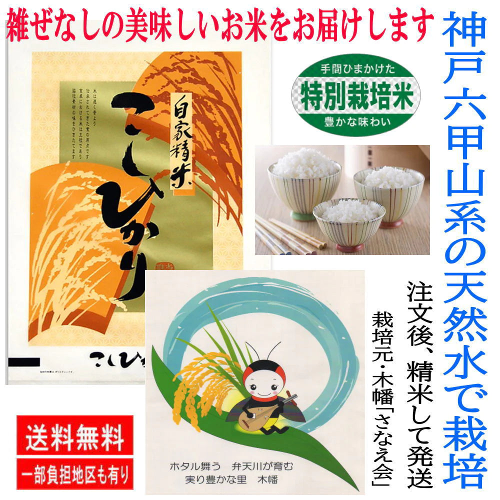 【精米したてを発送 令和４年米】 100% 新米・こしひかり15ｋｇ (5ｋｇ3袋)  安心・安全のお米 特別栽培米 六甲山系の豊かな山水で栽培 美味しいお米 産地直送 地元農家と提携した ノンブレンド米
