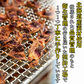 犬飯 いぬまんま ササミ細切りジャーキー 送料無料 メール便 北海道産 おやつ 無添加 doggyland ササミ ジャーキー 保存料 着色料 不使用 国産 ドックフード 超小型犬 小型犬 中型犬 大型犬 超大型犬