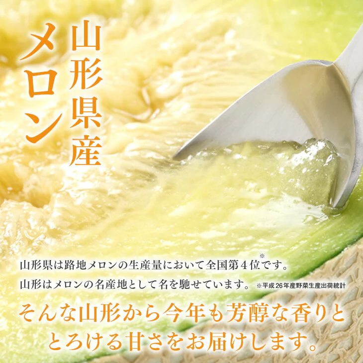 【贈答用】 山形県産 砂丘メロン(品種おまかせ)約2.5kg・2玉入り※一部地域は別途送料【のし対応】