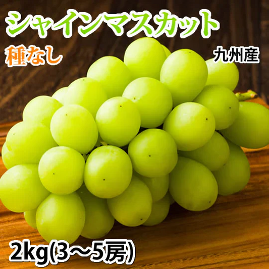 【7月下旬～8月上旬頃より順次出荷】シャインマスカット ぶどう 送料無料 2kg 3〜5房 九州産 マスカット 葡萄 ブドウ