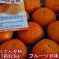 【10月中旬より順次発送予定】ばってん甘柿 訳あり 1箱 約3kg 樹上脱渋柿 種なし柿 送料無料　80サイズ