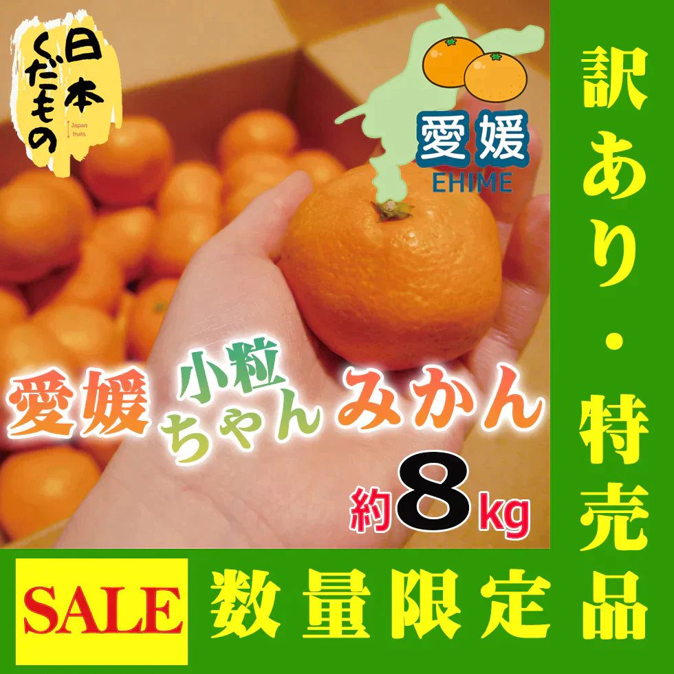 愛媛県産 みかん 小粒ちゃん 8kg 訳あり家庭用 柑橘