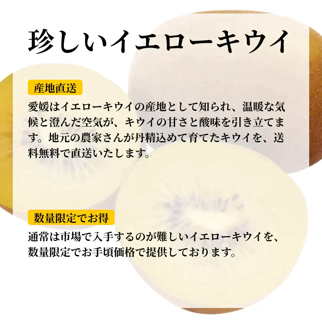 【商品リニューアル＆予約販売10月中旬から発送】おトクで美味しい！　愛媛県産　イエローキウイ【ゴールドキウイと同一品種】1.3Kg　キウイフルーツ