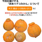 デコポン 同品種 訳ありデコみかん 5kg 箱込 (内容量4kg+補償分500g) 送料無料 熊本県産 フルーツ お取り寄せ みかん ミカン 蜜柑 不知火