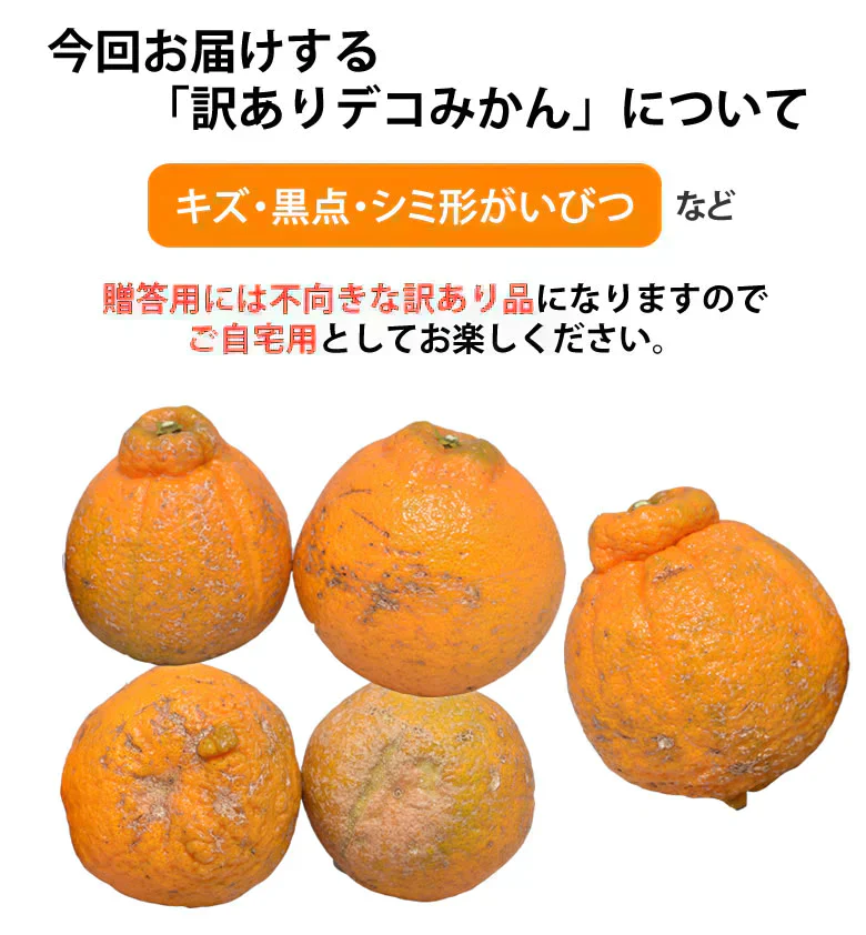 デコポン 同品種 訳ありデコみかん 5kg 箱込 (内容量4kg+補償分500g) 送料無料 熊本県産 フルーツ お取り寄せ みかん ミカン 蜜柑 不知火