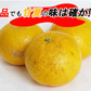 甘夏 訳あり 5kg みかん 蜜柑 ご家庭用 箱買い B品 サイズミックス あまなつ 柑橘 フルーツ 果物 産地直送 愛媛県産 YDF-014