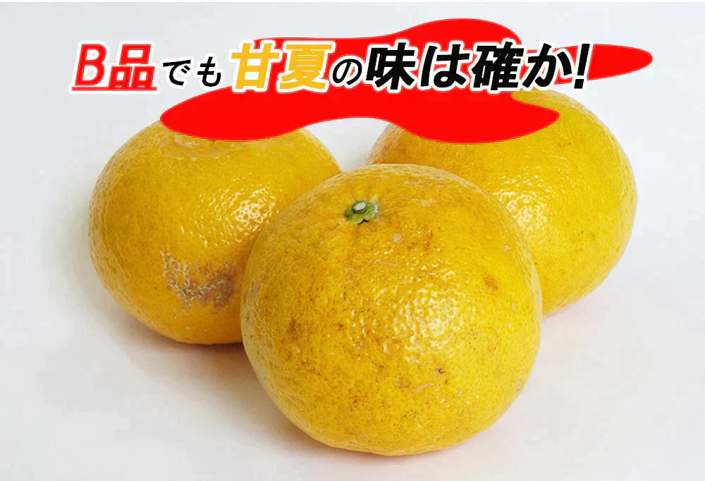 甘夏 訳あり 5kg みかん 蜜柑 ご家庭用 箱買い B品 サイズミックス あまなつ 柑橘 フルーツ 果物 産地直送 愛媛県産 YDF-014