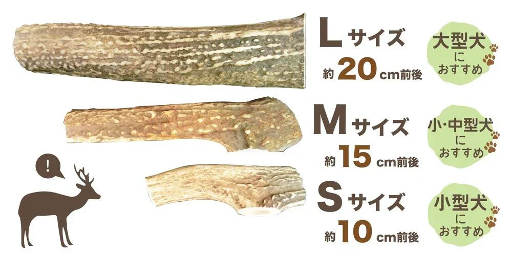 【送料無料】鹿角　Lサイズ　1本　ペット　歯石　口臭　ストレス解消　おもちゃ　お留守番　しか　ツノ