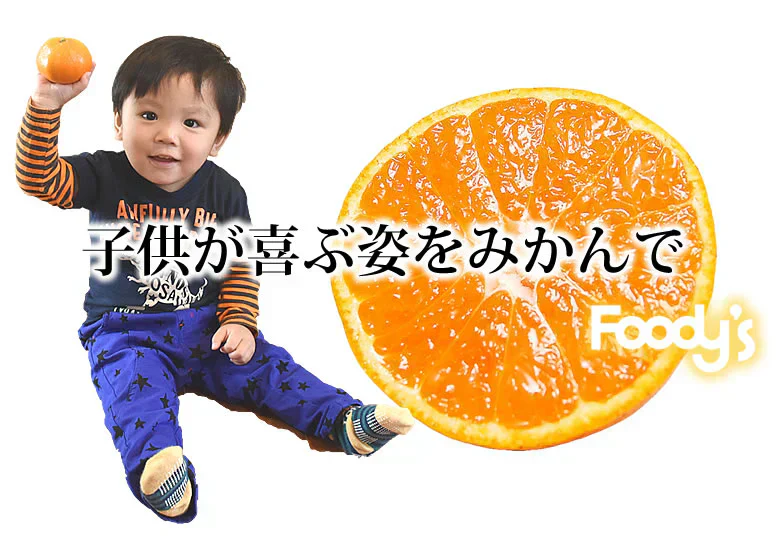 みかん 5kg 送料無料 温州みかん 秀品 熊本県産 蜜柑 ミカン
