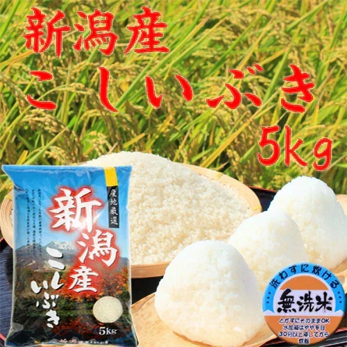 新米 令和8年 5kg 無洗米 送料無料 新潟産 こしいぶき 米 5kg 無洗米 ５キロ 農家直送 こしいぶき 5キロ 美味しいお米