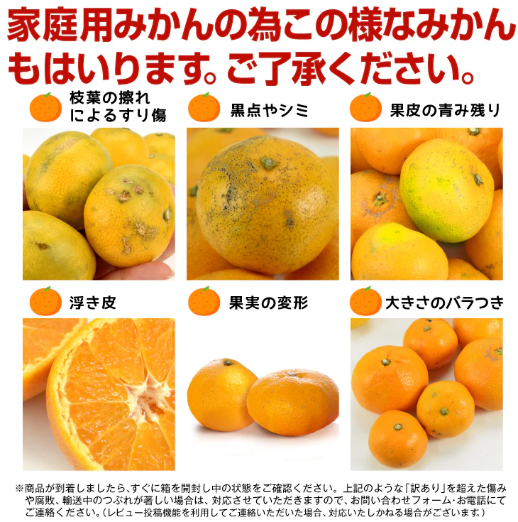 みかん　熊本産　おいしいみかん　5kg　サイズおまかせ　ご家庭用（発送予定：11月中旬より）