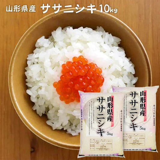 ササニシキ 白米 10kg 山形県産 令和7年産 送料無料 米 10キロ こめ コメ お米 精米 新米 お米10kg ササニシキ10kg ササニシキ10キロ ささにしき10kg ささにしき10キロ