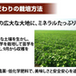 【10月下旬～11月上旬頃より順次出荷】さつまいも シルクスイート 訳あり 10kg 箱込（内容量9kg＋補償分500g) 送料無料 熊本・宮崎県産 サツマイモ 春こがね 紅まさり 焼き芋 芋 いも
