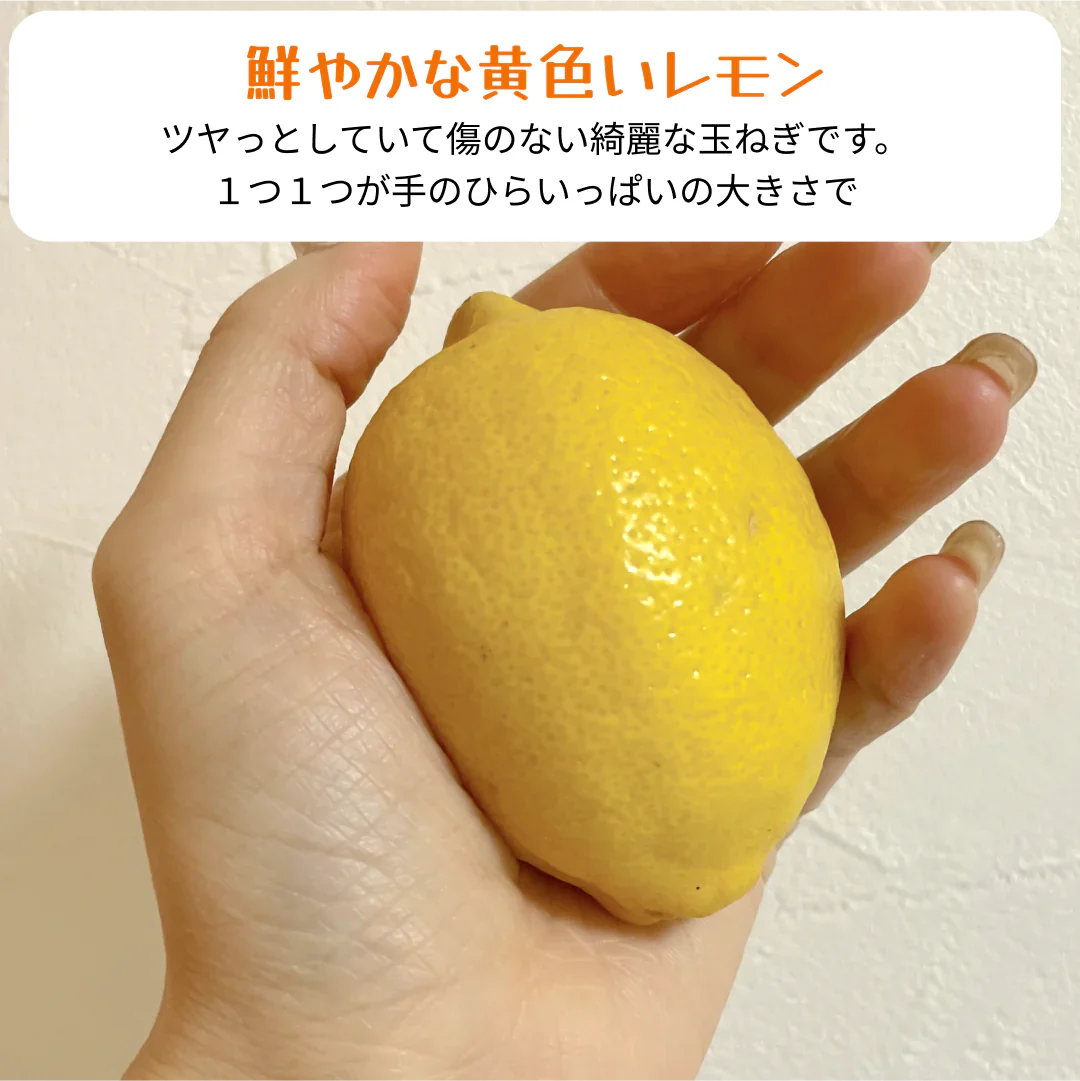 レモン　3キロ　　訳ありではございません！！