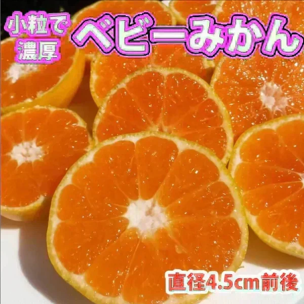 (10月下旬頃から順次発送の予約販売) みかん 激レア小粒 直径4.5cm前後 訳あり 和歌山有田みかん 5kg