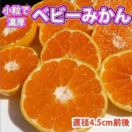 (10月下旬頃から順次発送の予約販売) みかん 激レア小粒 直径4.5cm前後 訳あり 和歌山有田みかん 5kg