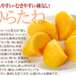柿 10kg ご家庭用 庄内柿 渋抜き済み 山形産 送料無料 食品(発送予定:2026年11月中旬より)