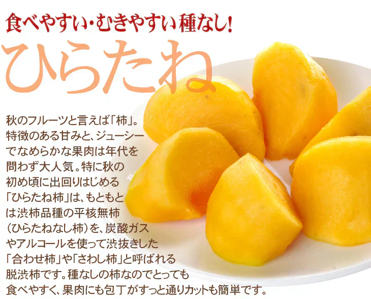 柿 10kg ご家庭用 庄内柿 渋抜き済み 山形産 送料無料 食品(発送予定:2026年11月中旬より)