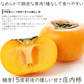 【11月上旬-下旬頃ご注文受付順次】庄内柿 7.5kg（M-3L玉 28-40玉前後）手付き化粧箱詰め 種なし柿 かき カキ 柿 贈答 ギフト