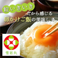 米 10kg 雪若丸 精米 山形県産 送料無料 令和6年産 ギフト 単一原料米 ブランド米 こめ コメ 白米 産地直送 kkb-006