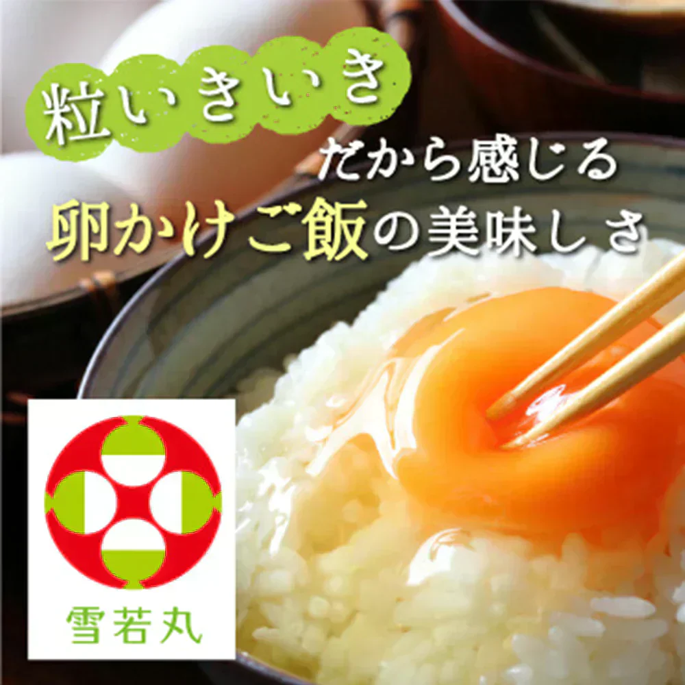 米 10kg 雪若丸 精米 山形県産 送料無料 令和6年産 ギフト 単一原料米 ブランド米 こめ コメ 白米 産地直送 kkb-006