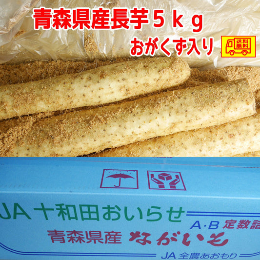 青森県産　長芋　　５ｋｇ　洗浄済み　ご家庭用　おがくず入り　送料無料！