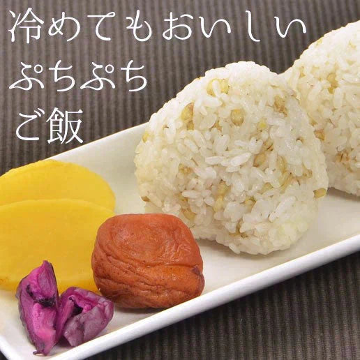 450g 国産もち麦 送料無料【カウシェファーム収穫対象商品】