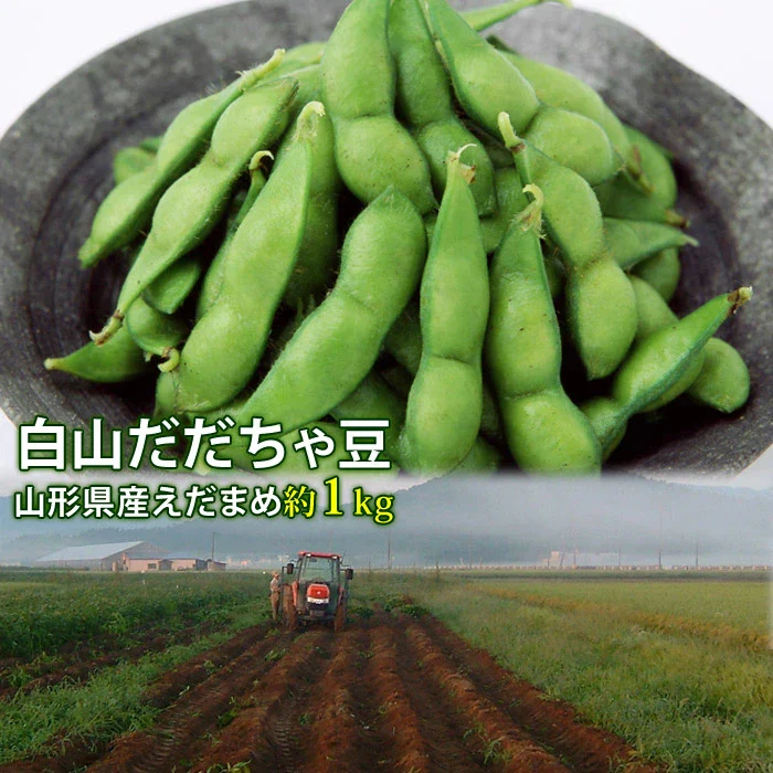 【8月中旬～9月上旬頃発送】白山 だだちゃ豆 1kg 枝豆 えだまめ まめ マメ 生豆