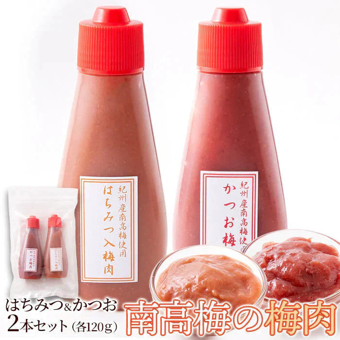 賞味期限2025年2月28日 はちみつ入り＆かつお☆紀州産南高梅のおいしい梅肉2本セット メール便