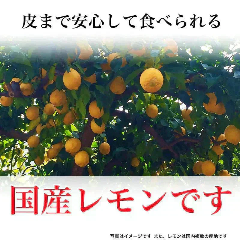 国産 輪切りレモン 450g×1袋 送料無料 ドライフルーツ レモン 砂糖あり 皮付き レモンスライス 甘酸っぱい おやつ 紅茶 ヨーグルト お菓子作り トッピング メール便限定