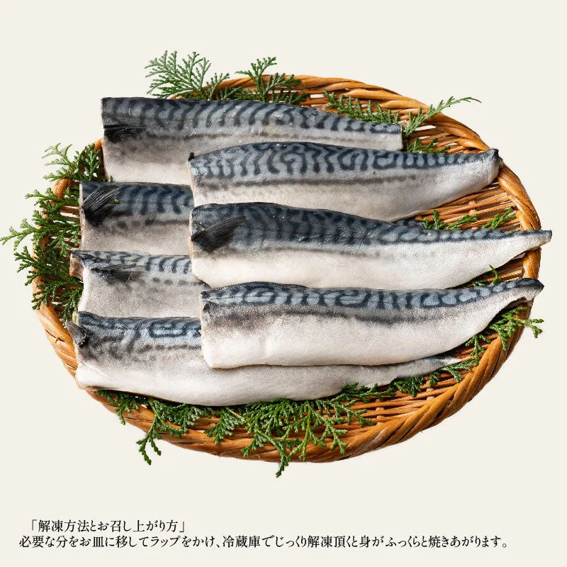 さば 無添加 無塩 トロさば サバ 鯖 約1kg(6〜8尾）トロ鯖 海鮮 天然 美味しい 魚 魚介 海産物 おかず おつまみ 乾き物 酒の肴 贈り物 お取り寄せグルメ 食べ物 おいしい 絶品