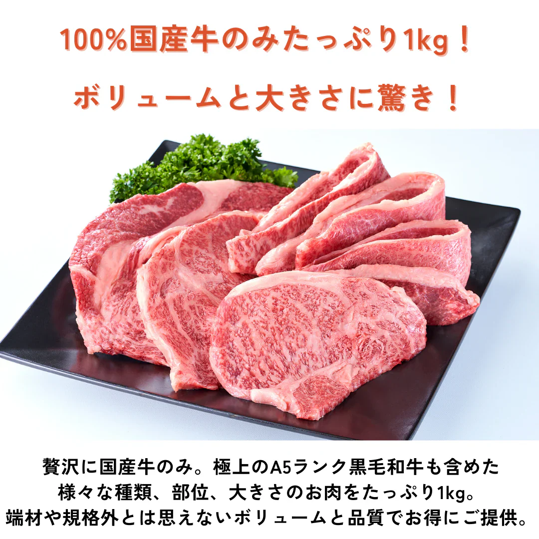 モッタイナイビーフ（和牛入り 国産牛 1kg）