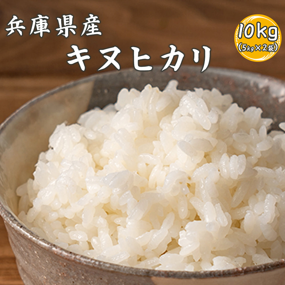 【白米】兵庫県産 キヌヒカリ 10kg(5kg×2袋) 精白米 国産 国産キヌヒカリ100％ 送料無料 精米工場からの直送品