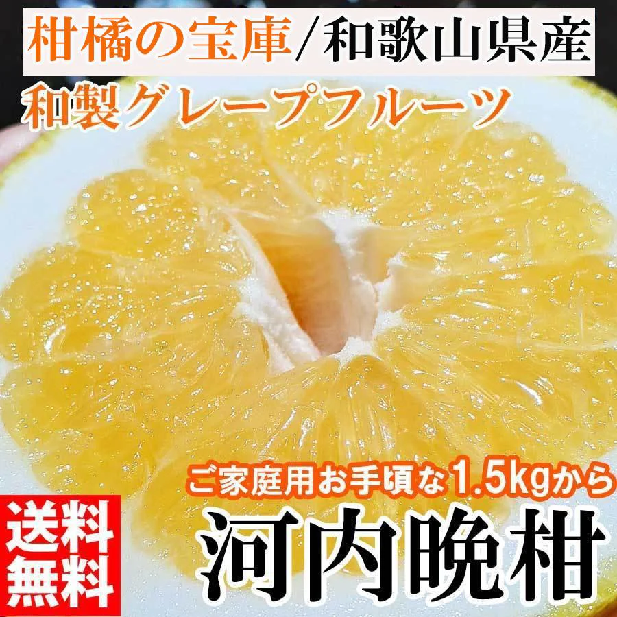 河内晩柑 1.5キロ 和製グレープフルーツ ブランド 和歌山みかん 農家直送 人気 規格外 柑橘類 フルーツ 果物 みかん 訳あり
