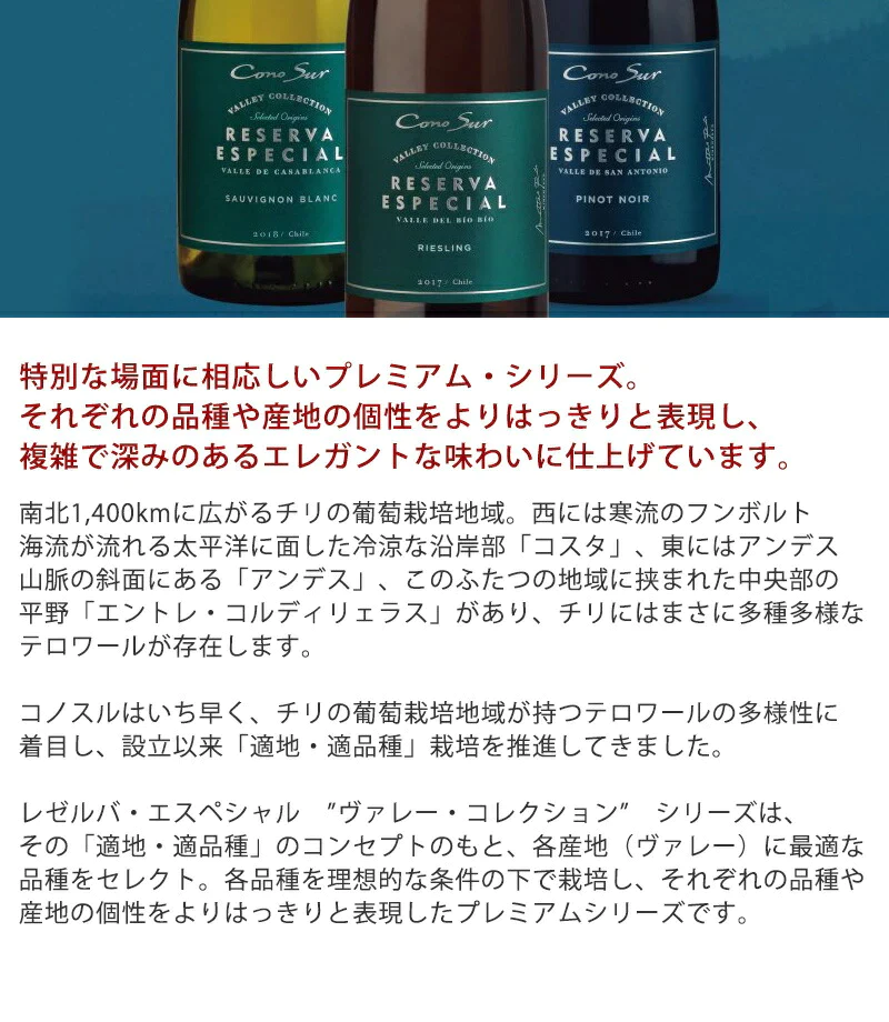 ワイン ワインセット   【送料無料】よりどり選べる コノスル レゼルバ&オーガニック シリーズ 10本  ワインセット【北海道・東北・九州・四国・沖縄県は必ず送料が掛かります】
