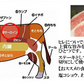 200g×2枚 仙台牛サーロインステーキ 2人前 ステーキ肉