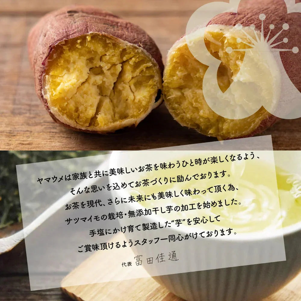 紅金波使用さつまいもチップス(駿河湾塩味)×10袋