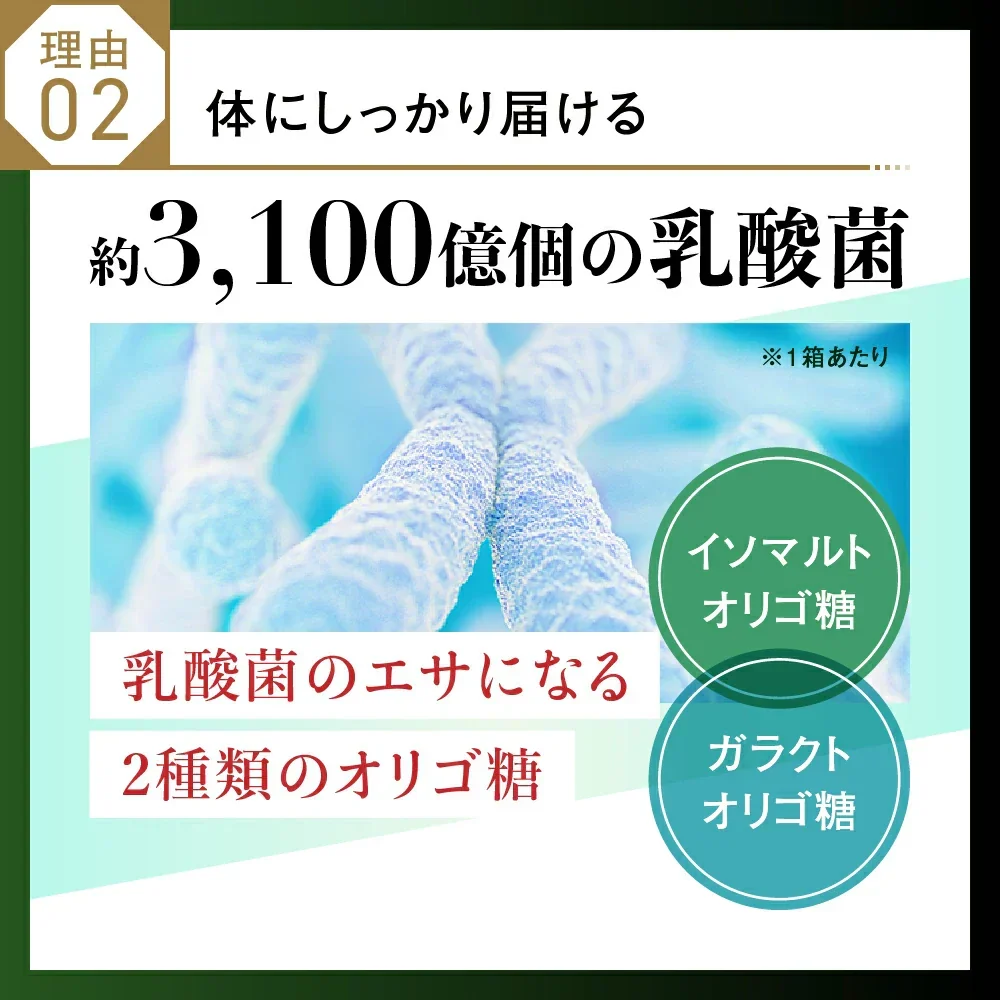 あじわい酵素（31包入り）美容サプリ  国産野菜・果物キノコのみを使用！美容と健康にうれしい成分をプラス！乳酸菌、ビタミンC、ペースト状 ダイエット サプリ ゼリー