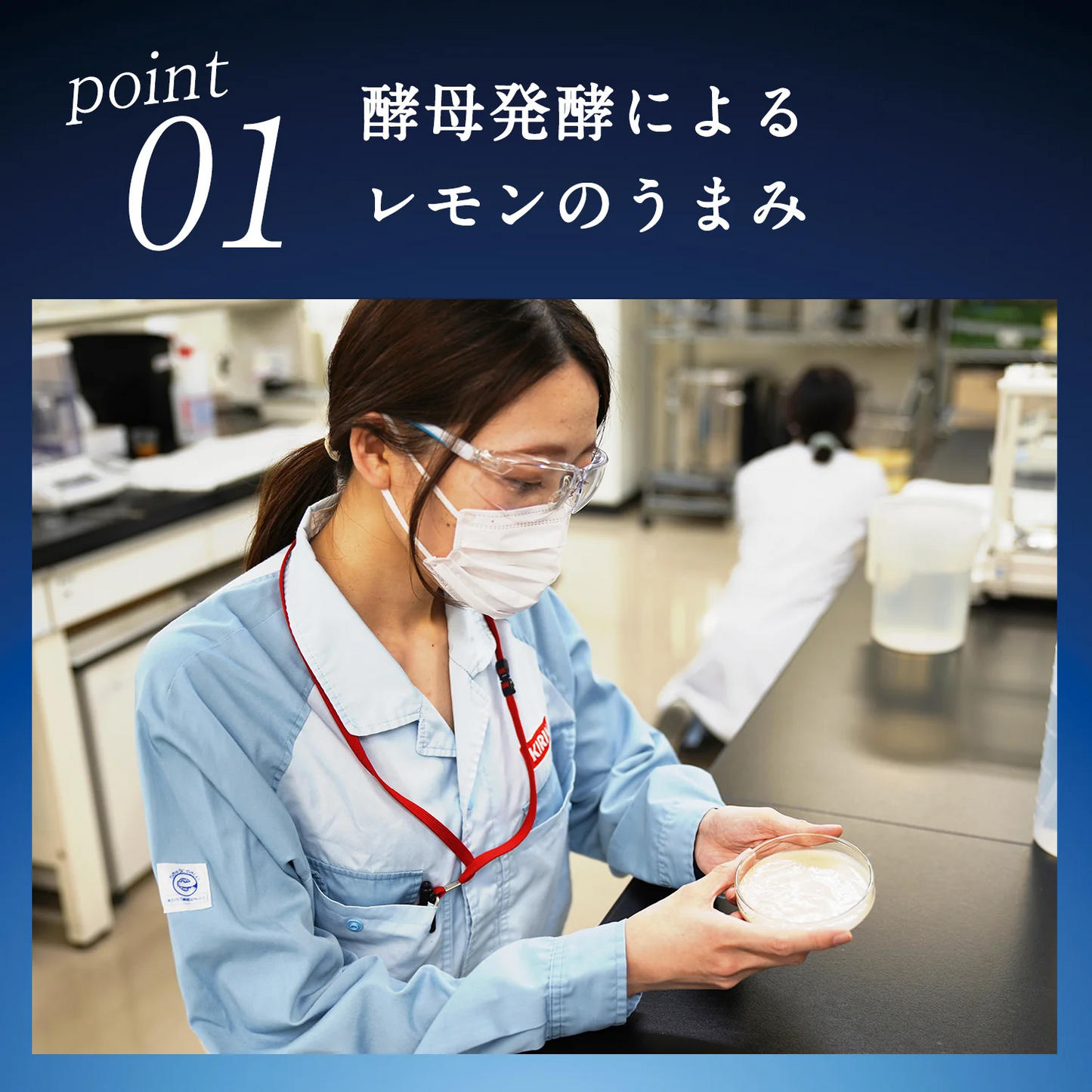 キリン 麒麟百年 極み檸檬サワー 350ml×1ケース/24本