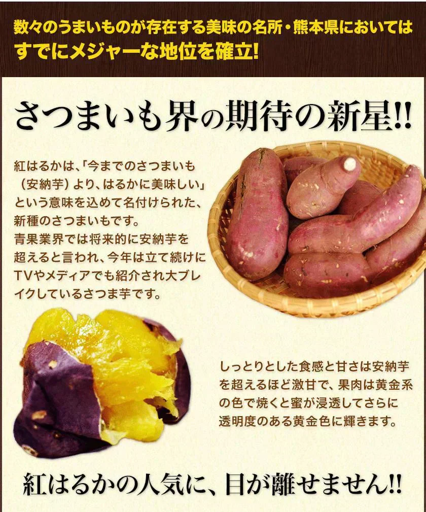 さつまいも 紅はるか べにはるか 1.5kg 送料無料 芋 熊本県産 スイーツ お取り寄せ 《7-14営業日以内に発送予定》