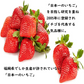 2パック 福岡産 いちご あまおう デラックス