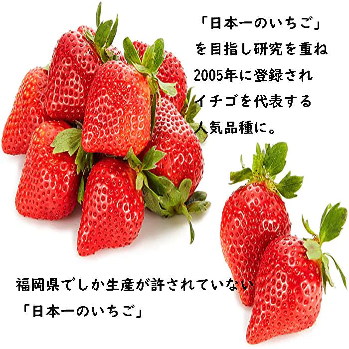 2パック 福岡産 いちご あまおう デラックス