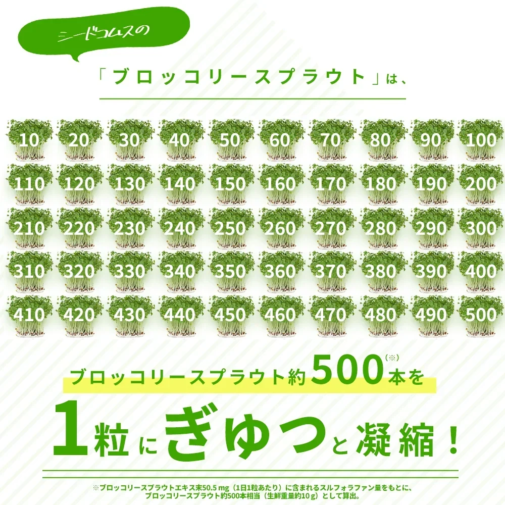 ブロッコリースプラウト《約6ヶ月分》