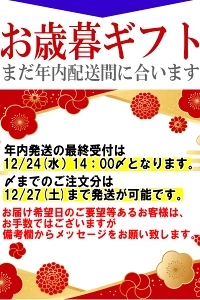福島県産 秀品 シャインマスカット 大房２房セット