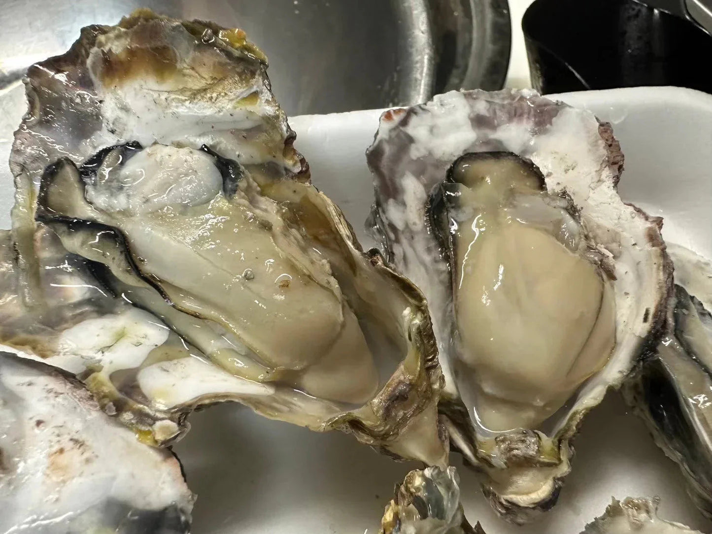 【生食OK】兵庫県産 殻付き牡蠣 冷凍 5kg 約100殻/冷凍クール便