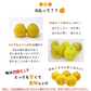 河内晩柑 Ｂ級品 (4kg) ※中玉・大玉MIX 訳あり  晩柑 ご家庭用 箱買い B品 サイズミックス 柑橘 みかん フルーツ 果物 産地直送 愛媛県産